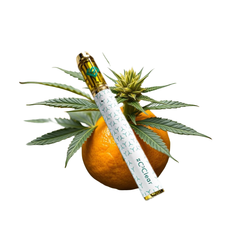 orange copy