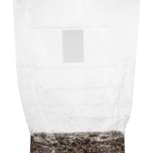 Aztec God | Magic Mushroom | Grow Kit | 1 kg
