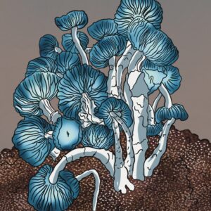 Jack Frost x Shakti | Magic Mushroom | Grow Kit