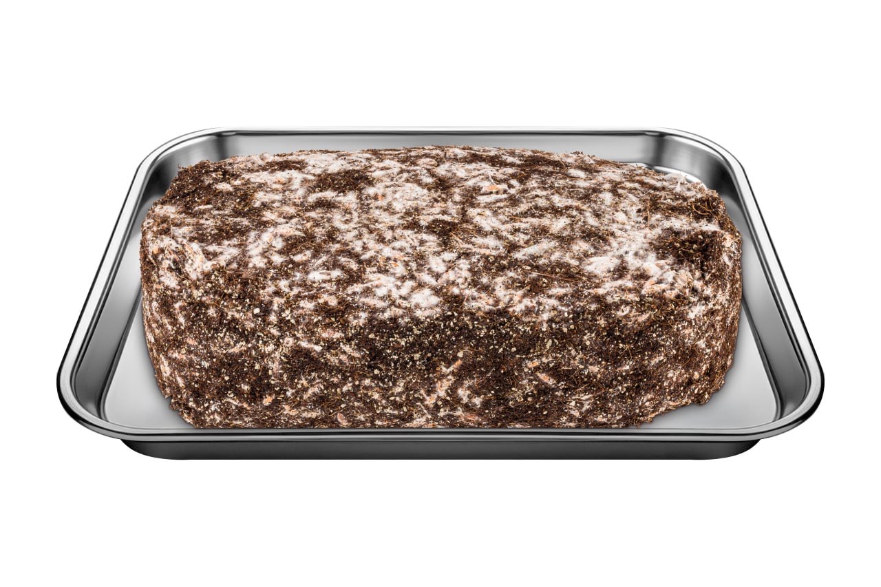 Mazatapec | Magic Mushroom | Grow Kit | 2 kg - Image 2